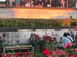 IMG_8187.jpg